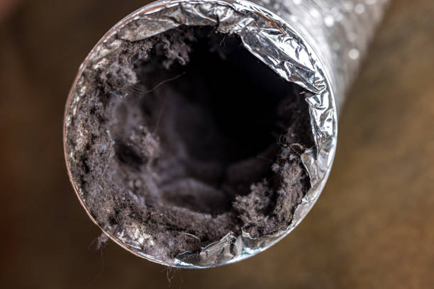 Best HVAC Air Duct Cleaning  in Carrollton, AL