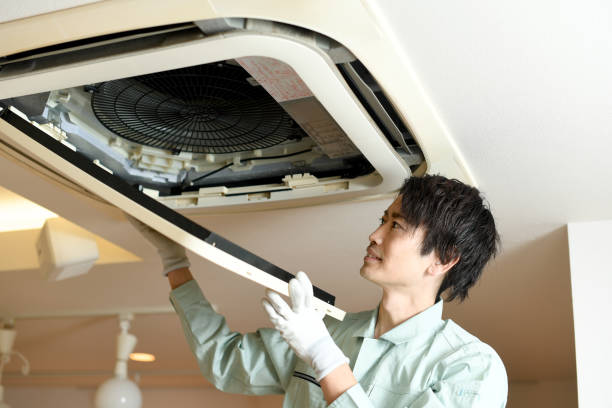 Best Commercial Air Duct Cleaning  in Carrollton, AL