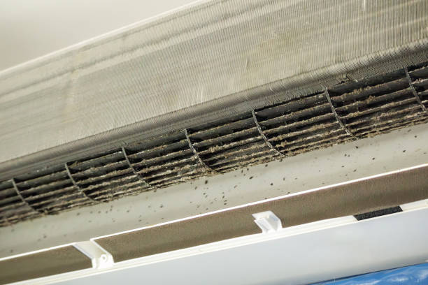 Best Ductwork Cleaning Services  in Carrollton, AL