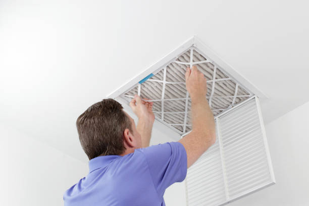 Best HVAC Air Duct Cleaning  in Carrollton, AL